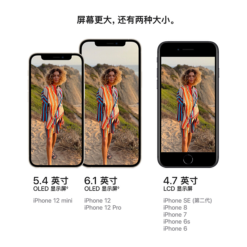 Apple iPhone 12 (A2404) 128GB  支持移动联通电信5G 双卡双待手机