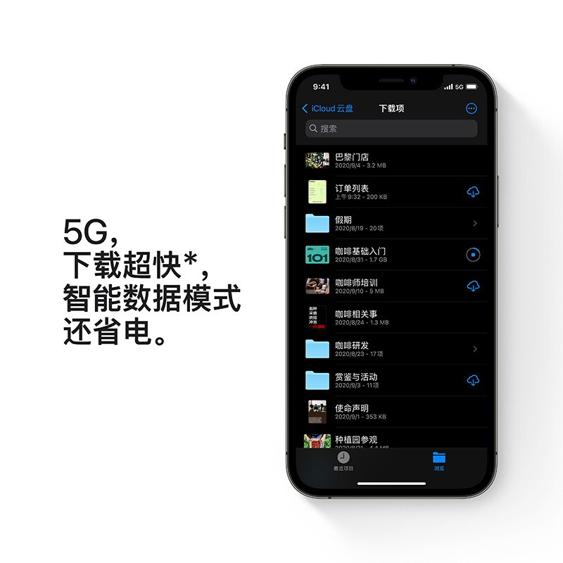 Apple iPhone 12 Pro (A2408) 256GB  支持移动联通电信5G 双卡双待手机