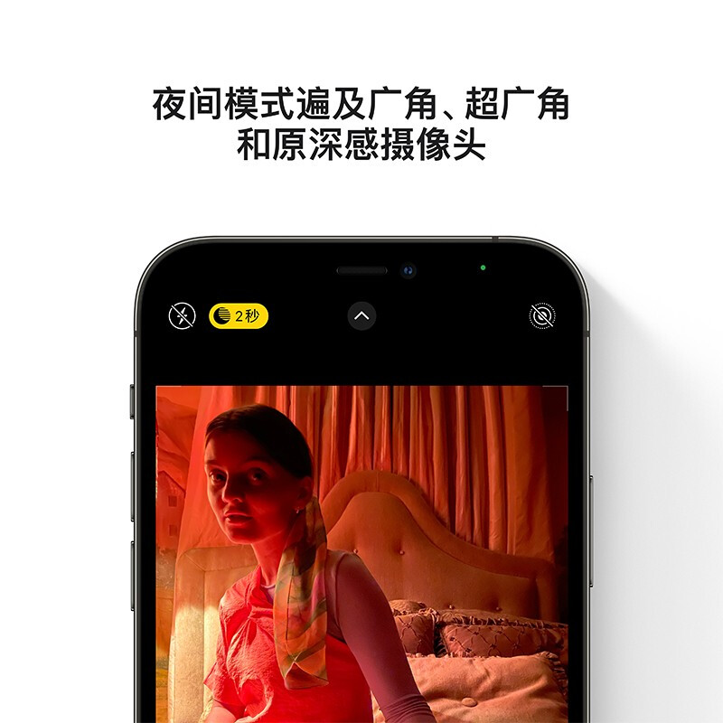 Apple iPhone 12 Pro (A2408) 256GB  支持移动联通电信5G 双卡双待手机