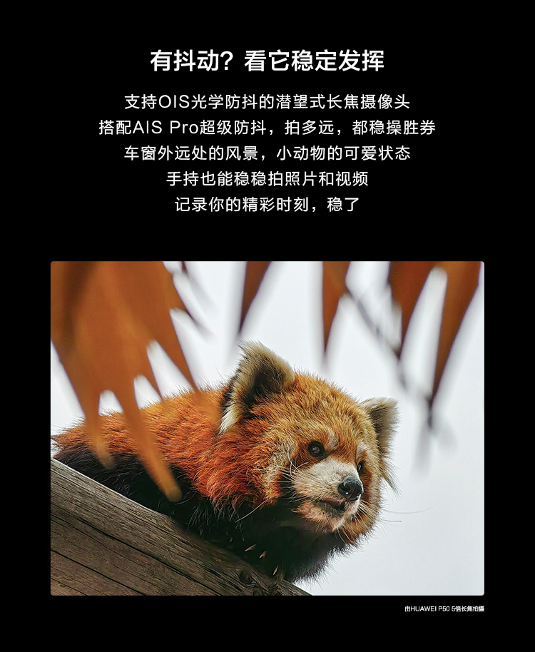 HUAWEI P50 骁龙888 4G全网通 原色双影像单元 HarmonyOS 2 万象双环设计 华为手机