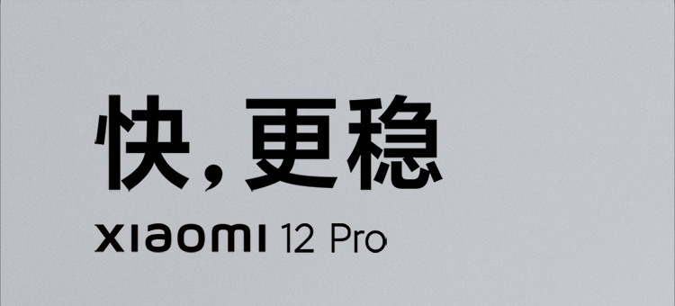 小米12 Pro 骁龙8 Gen1 2K AMOLED 120Hz高刷 5000万疾速影像 120W小米澎湃秒充 5G手机