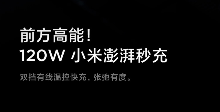 小米12 Pro 骁龙8 Gen1 2K AMOLED 120Hz高刷 5000万疾速影像 120W小米澎湃秒充 5G手机