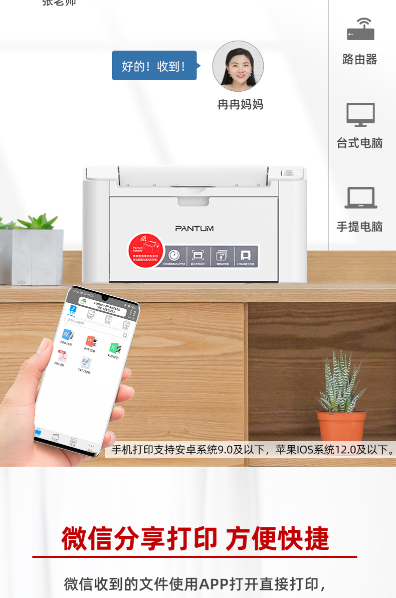 奔图（PANTUM）黑白激光打印机 P2206NW单打印、网络、WIFI 官方标配