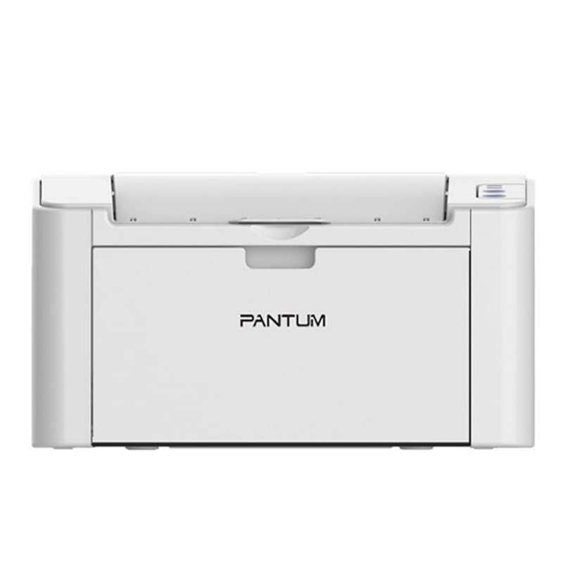 奔图（PANTUM）黑白激光打印机 P2206NW单打印、网络、WIFI 官方标配